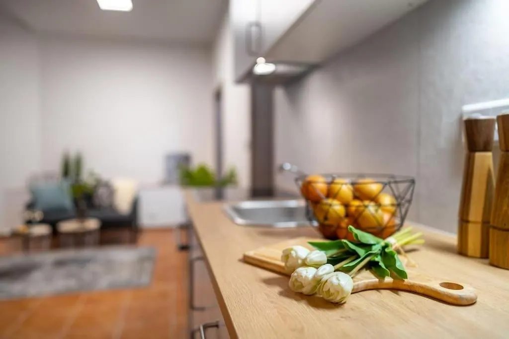 New Flat, Jachymov Apartment Karlovy Vary Czech Republic