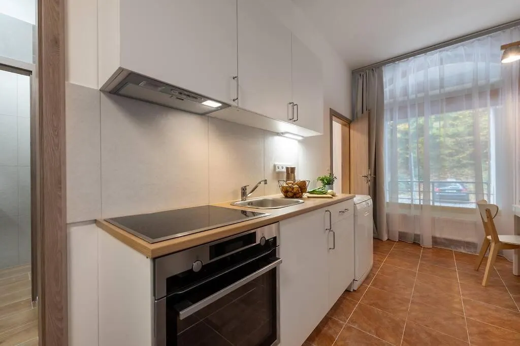 New Flat, Jachymov Apartment Karlovy Vary Czech Republic